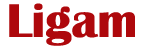 ligam store